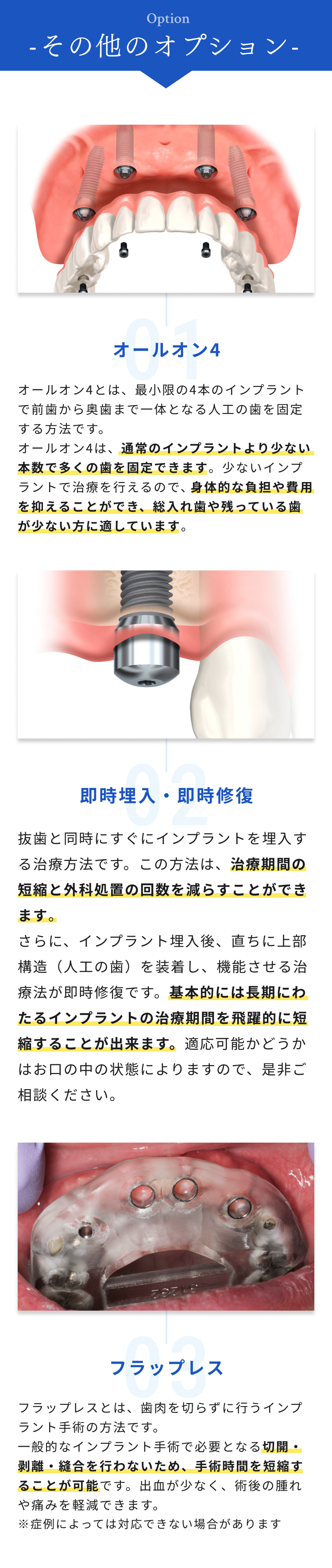その他のオプション